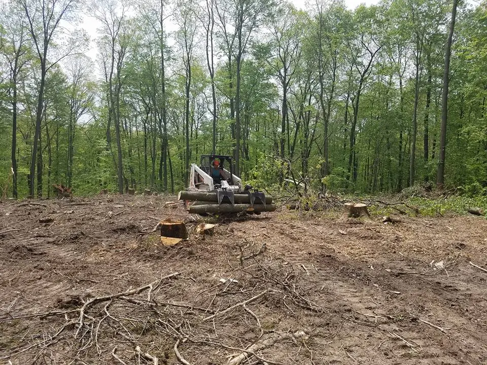Lot Clearing in Atascocita example 1