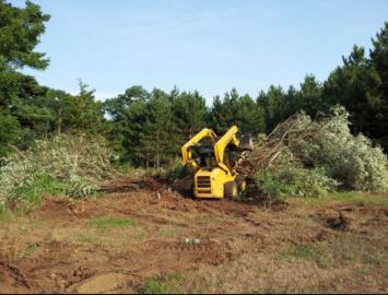 Lot Clearing in Atascocita example 2