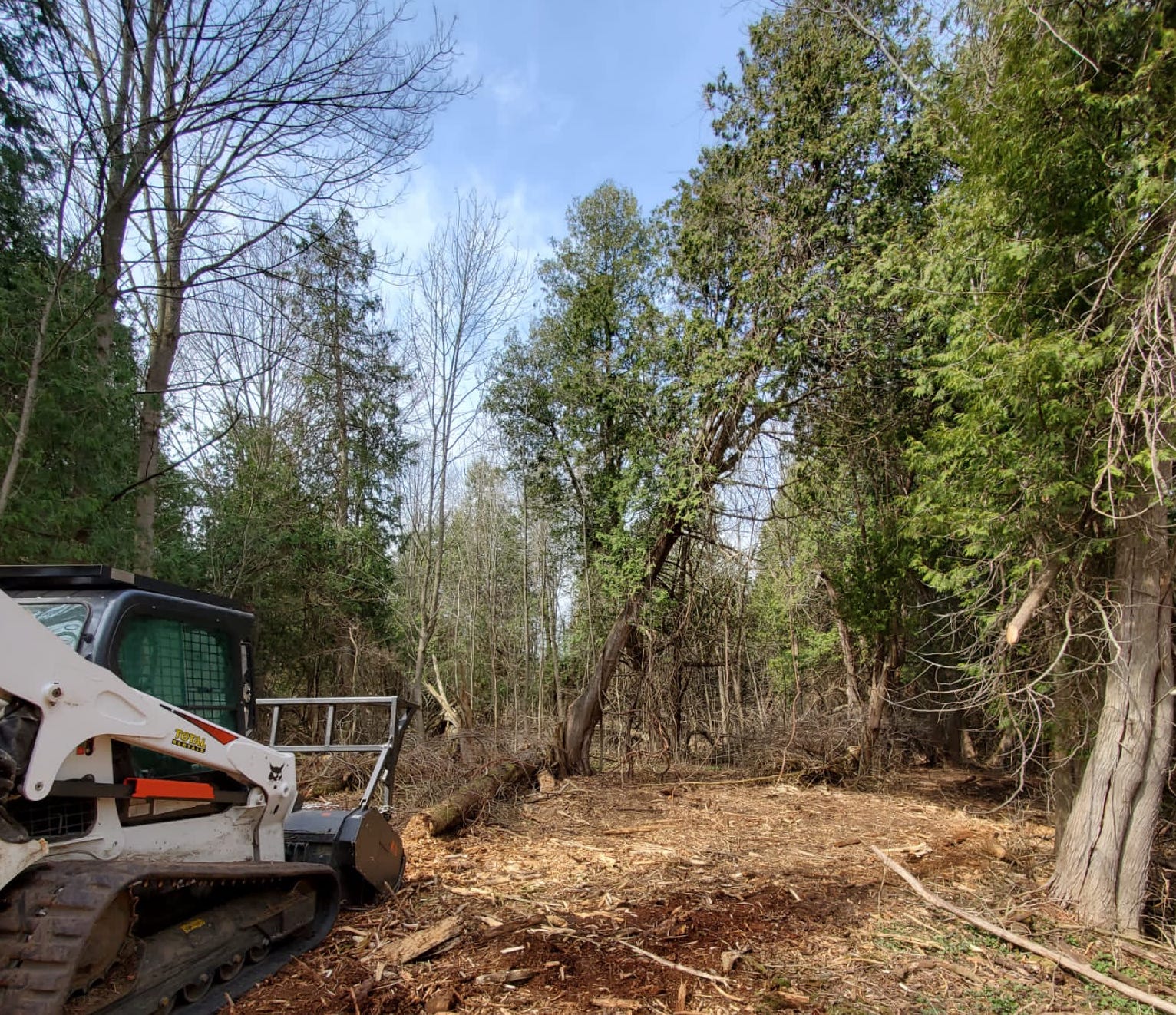 Lot Clearing in Atascocita example 4