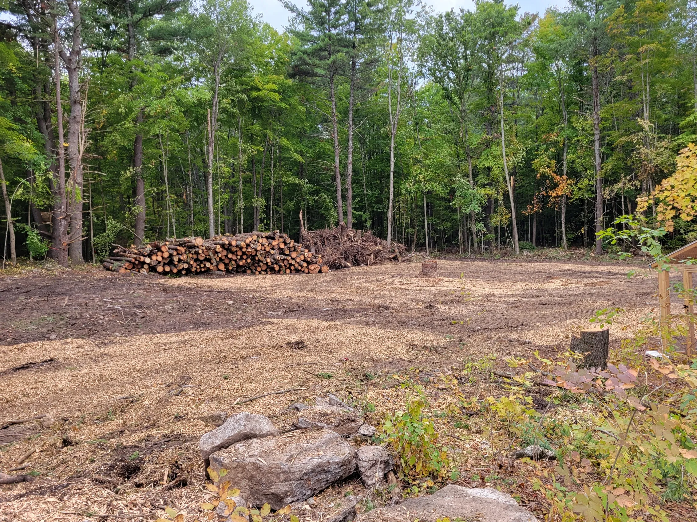 Lot Clearing in Atascocita example 7