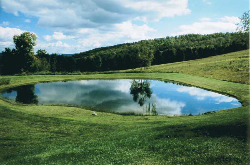 Pond Construction